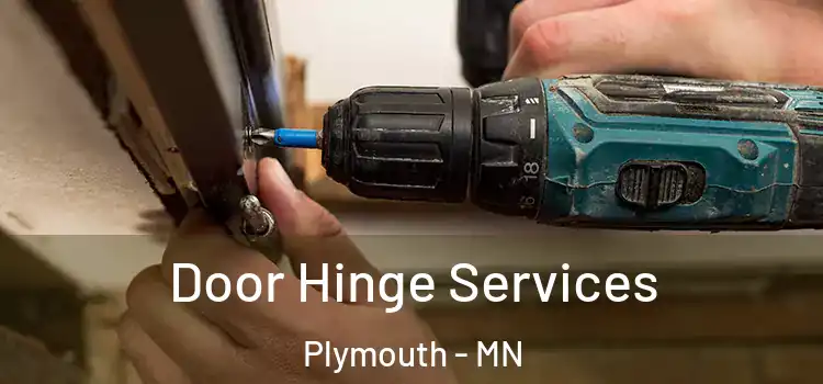 Door Hinge Services Plymouth - MN