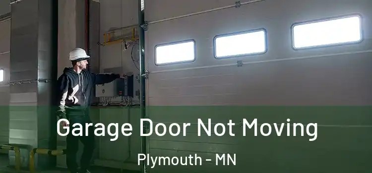  Garage Door Not Moving Plymouth - MN