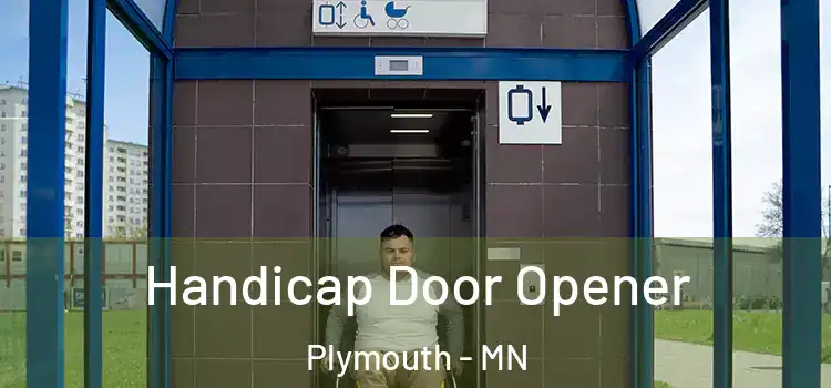  Handicap Door Opener Plymouth - MN