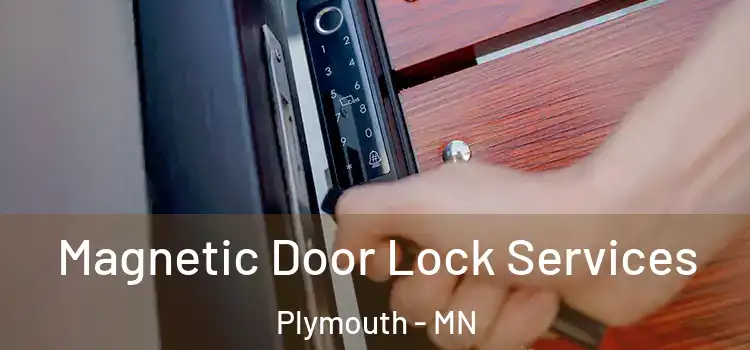 Magnetic Door Lock Services Plymouth - MN