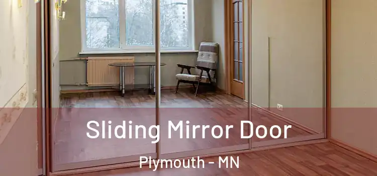  Sliding Mirror Door Plymouth - MN